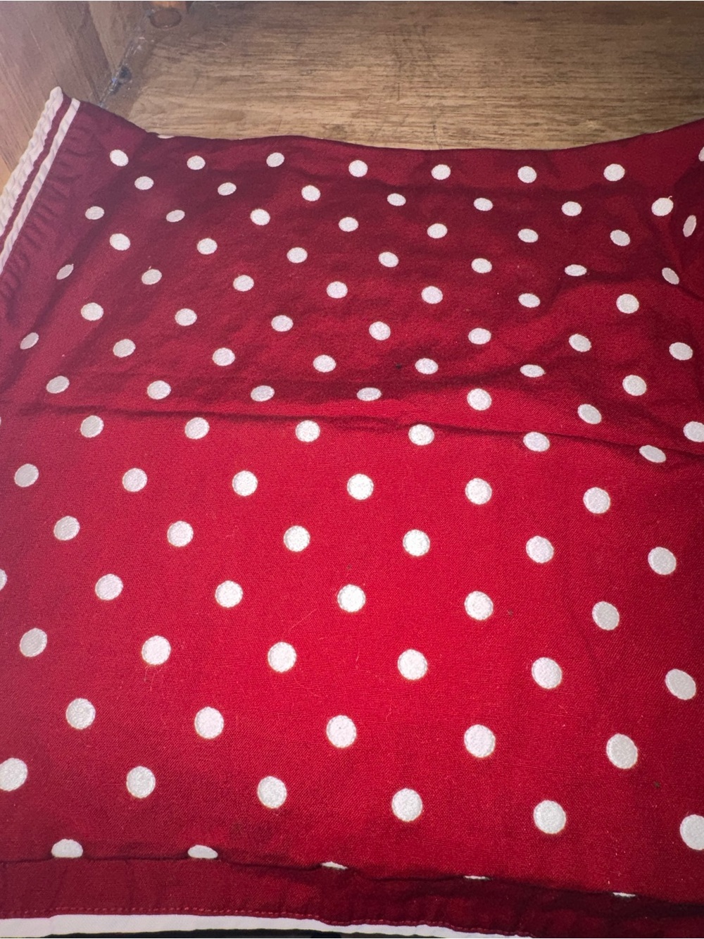 Pottery Barn Red and Polka Dot Table Runner